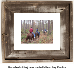 horseback riding near me in Pelican Bay, Florida